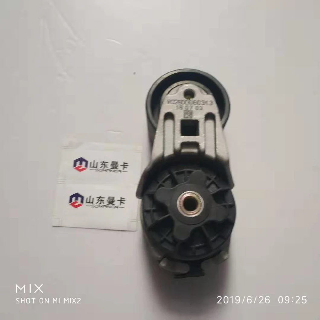 Sinotruk HOWO Parts Automatic Tension Roller Tensioner Pulley